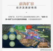 将来将会成为